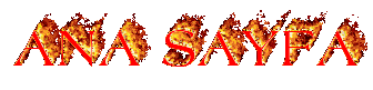 anasayfa.gif