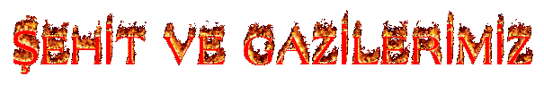 ehitvegazilerimiz.gif