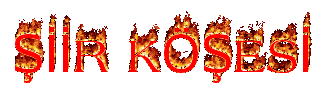 iirkesi.gif