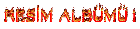 resim1.gif