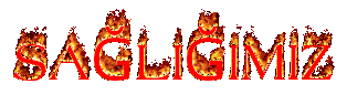 saliimiz.gif