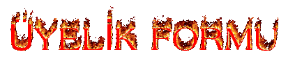 yelik.gif